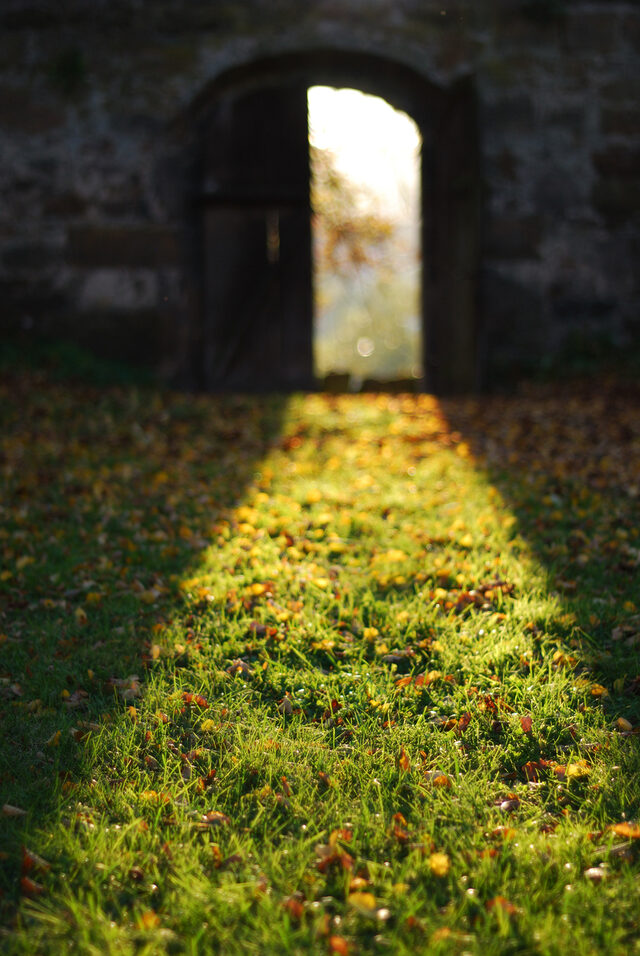 Light falling through an open gate in an old stone wall onto grass and autumn leaves